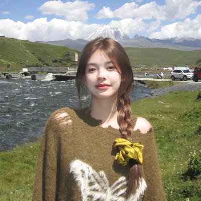 诺尔免费在线观看
